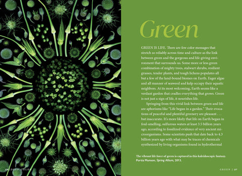 Deep Color: The Shades That Shape Our Souls