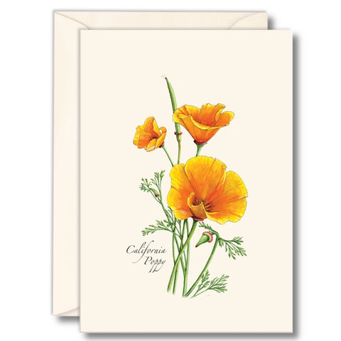 California Poppy Nature Notes