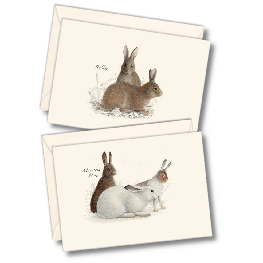 Rabbit and Hare Nature Notes