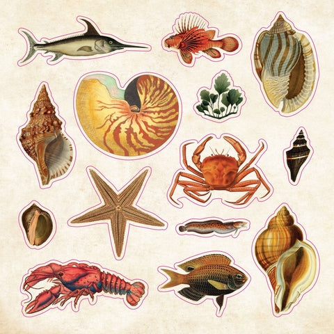 Stickers of vintage-style sea creature illustrations on a beige background