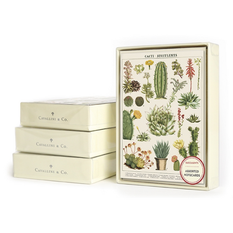 Succulents Boxed Notecards