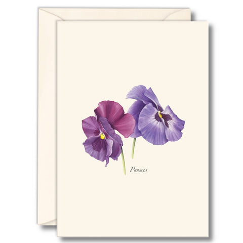 Pansies Nature Notes