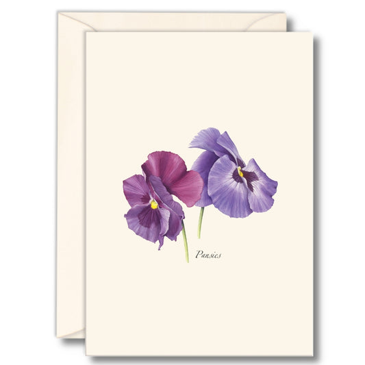 Pansies Nature Notes