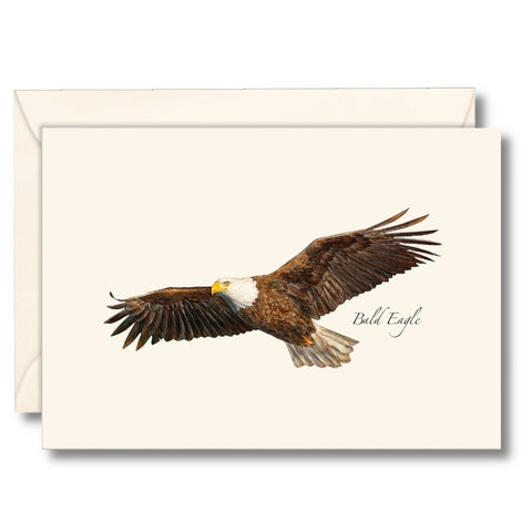 Bald Eagle Nature Notes