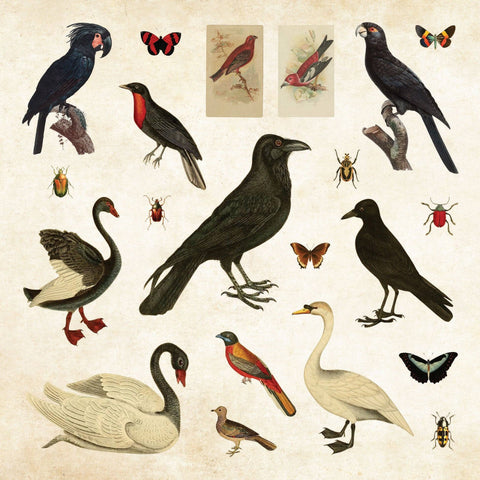 Stickers of various birds and insects on a textured beige background