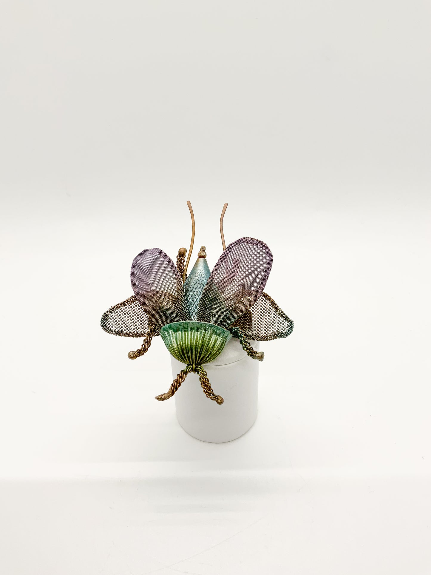 Jewel Beetle with Wings