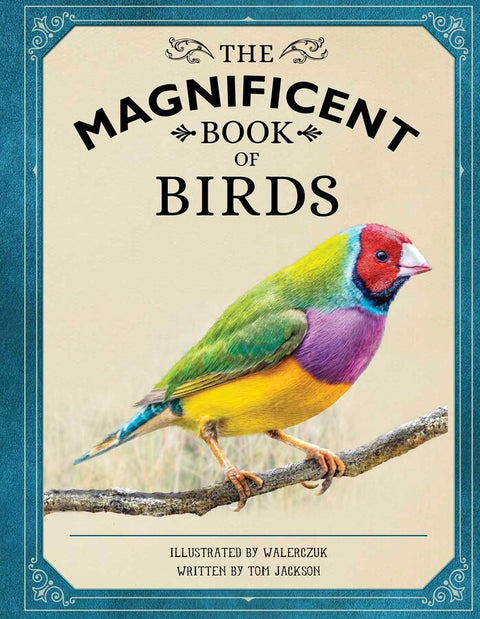 The Magnificent Book of Birds