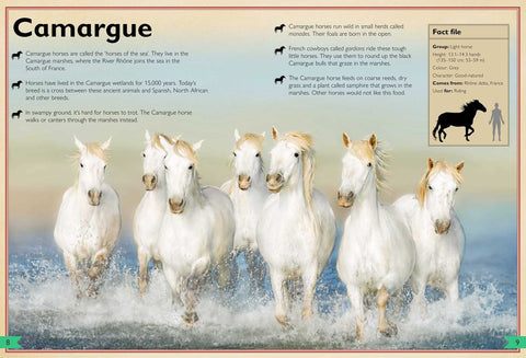 Magnificent Horses