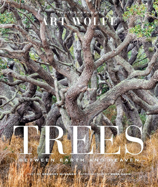 Trees RFMT