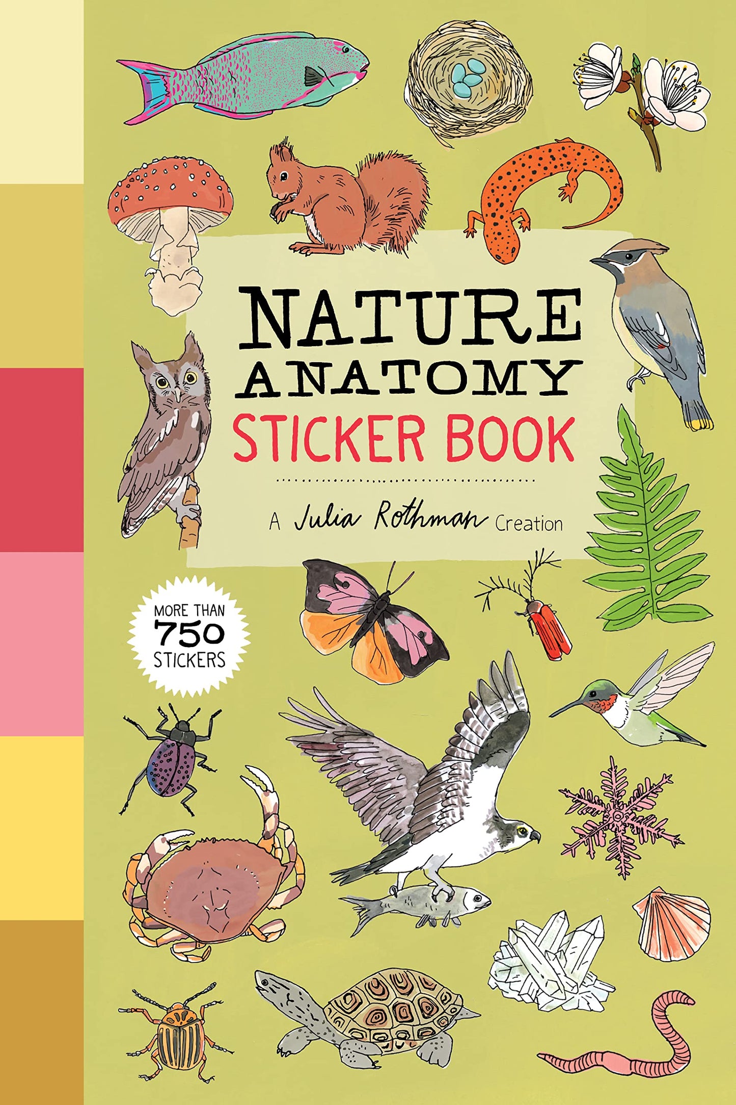 Nature Anatomy Sticker