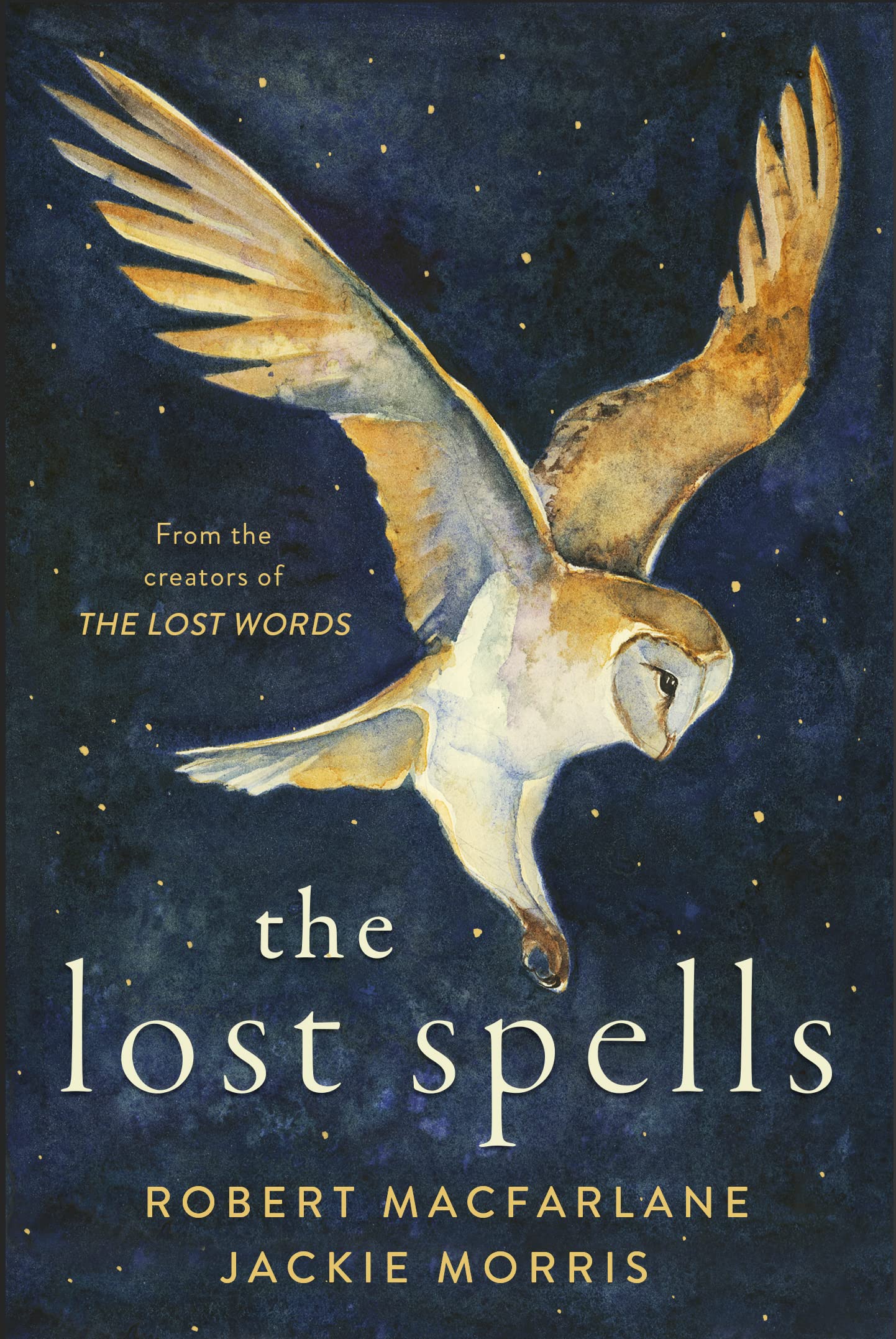 Lost Spells Hardcover – Illustrated