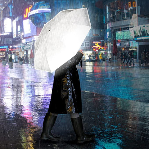 Reflective Umbrella