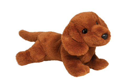 Delanie Dachshund
