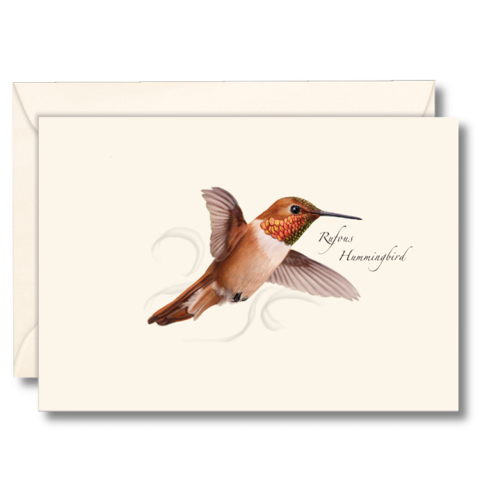 Rufous Hummingbird Nature Notes