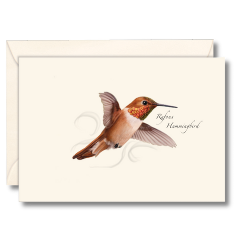 Rufous Hummingbird Nature Notes