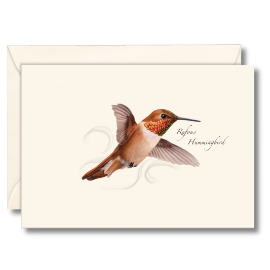 Rufous Hummingbird Nature Notes