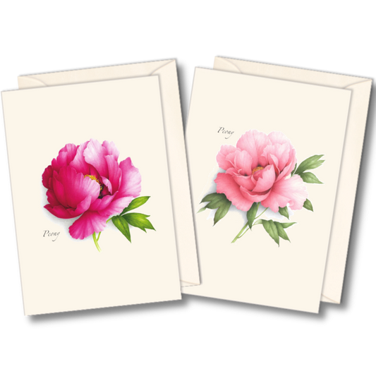 Peony Assorted Nature Notes