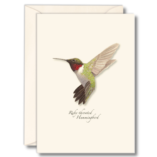 Ruby Throated Hummingbird Nature Notes