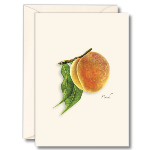 Peach Nature Notes