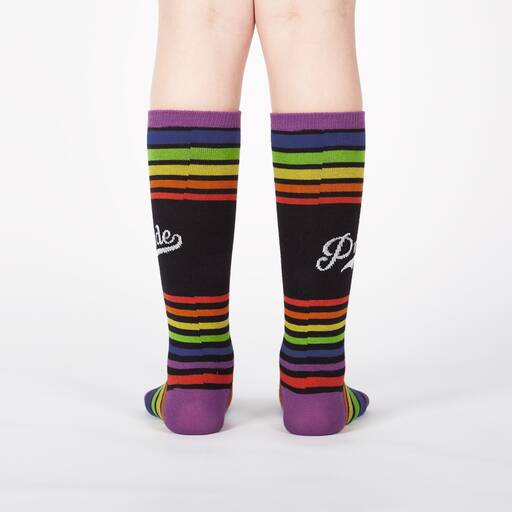 Team Pride Youth Socks