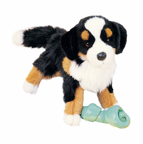 Trevor Bernese Mountain Dog