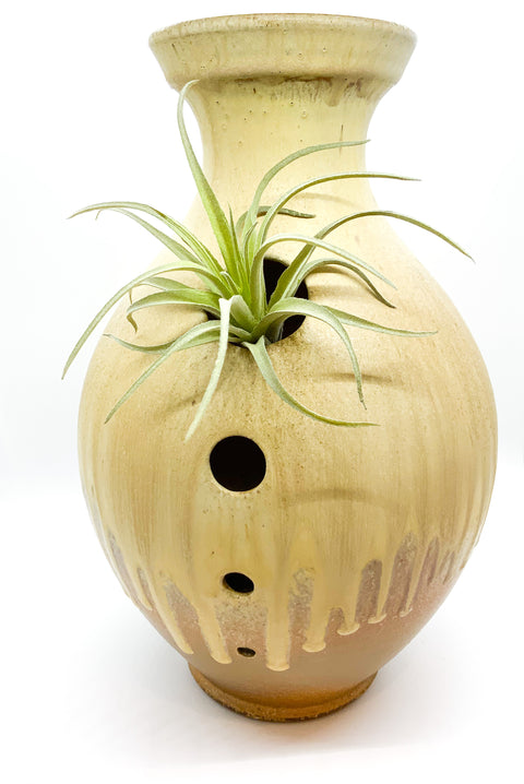 Ben Owen III Graduated Hole Vase in Ash Glaze