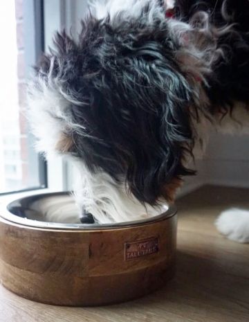 Small Wooden Dog Bowl