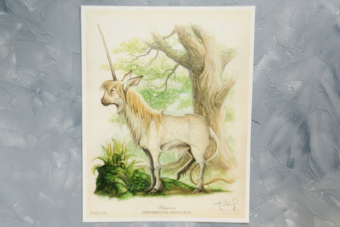 Unicorn Tony DiTerlizzi Signed Print