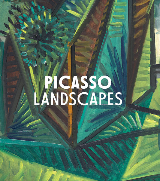 Picasso Landscapes: Out of Bounds Catalogue